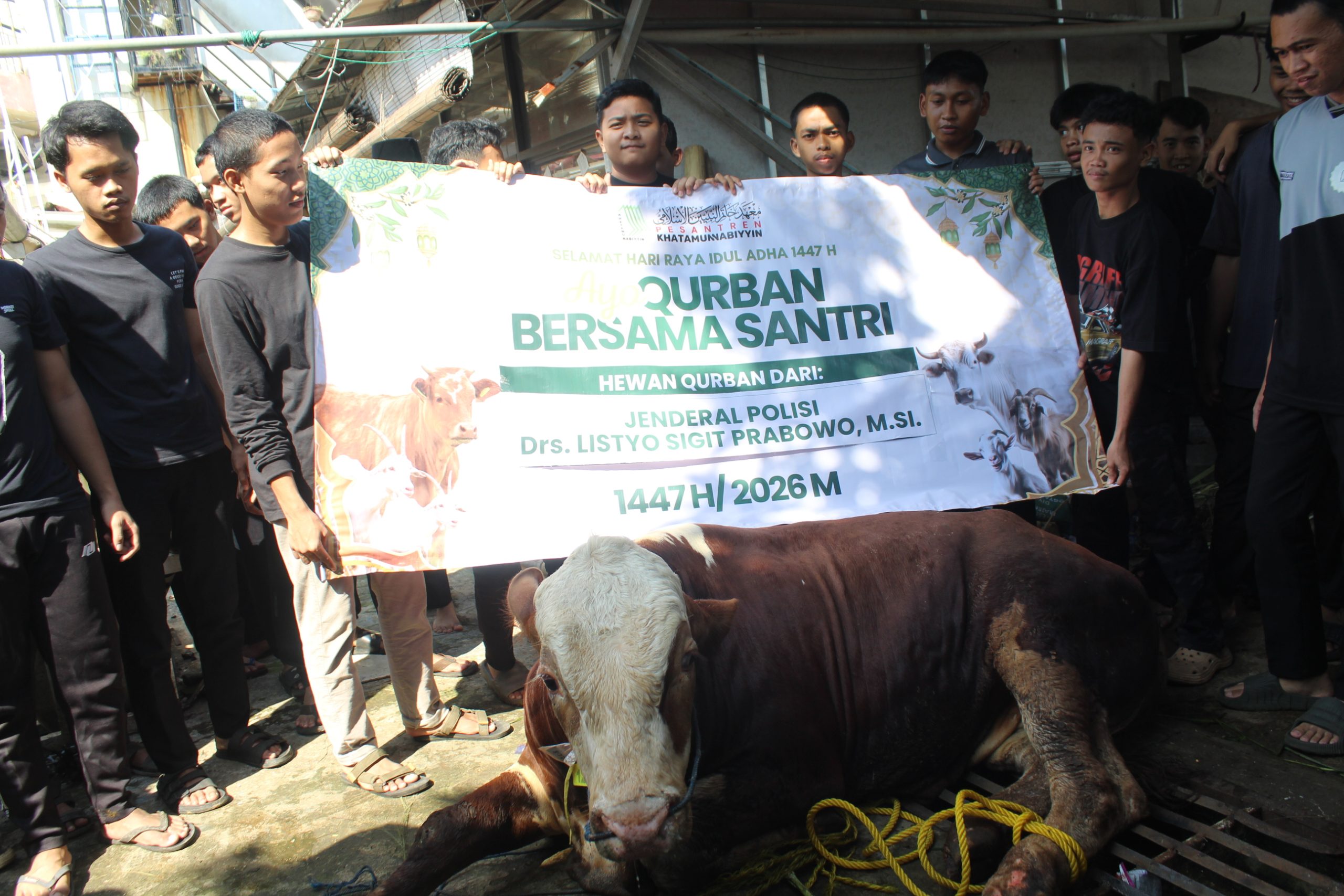 Foto hewan qurban sapi